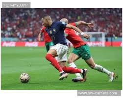 中信兄弟主场气氛热烈